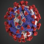 Covid-19 virus