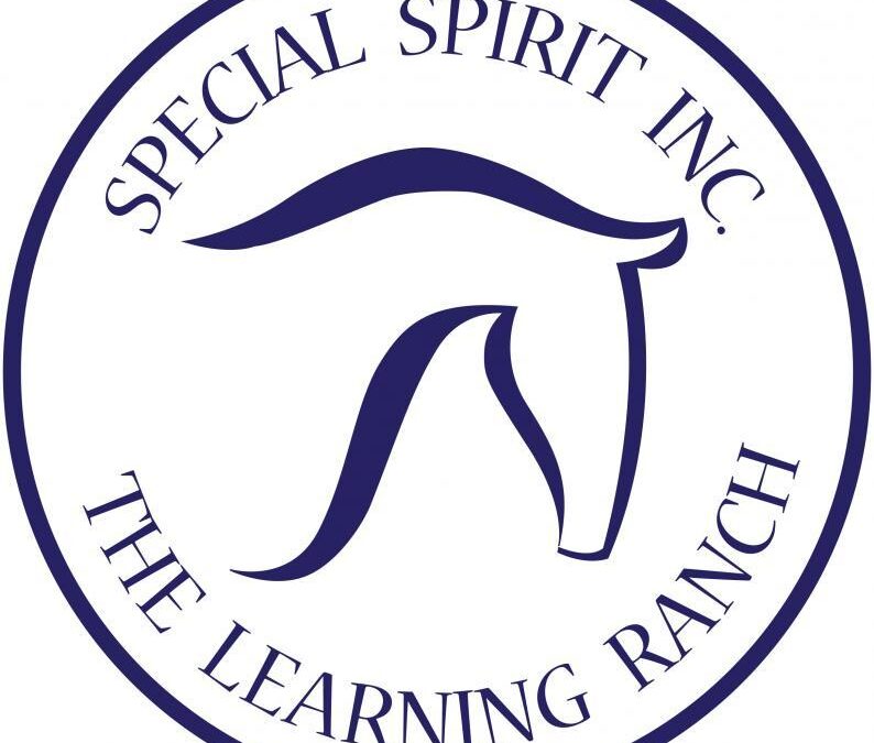 Special Spirit Inc